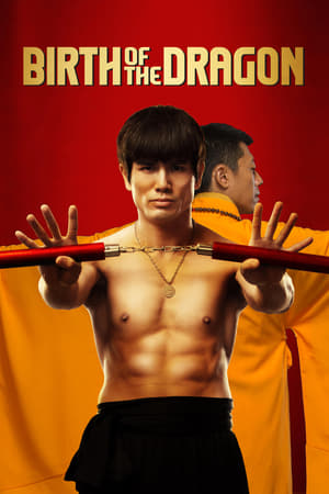 Birth of the Dragon (2016) Dual Audio | Dubbed Hindi Movie BluRay [1.2GB]