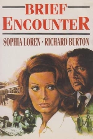 Brief Encounter 1974 Dual Audio | Dubbed Hindi Movie BluRay 300MB