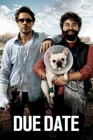 Due Date (2010) Dual Audio | Dubbed Hindi Movie BluRay 300MB