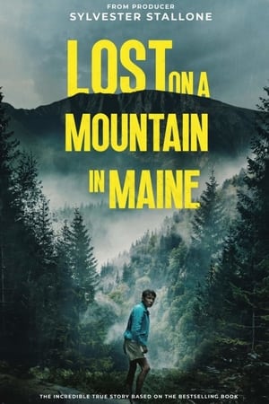 Lost on a Mountain in Maine 2024 Subbed CAMRip | Dubbed Hindi Movie